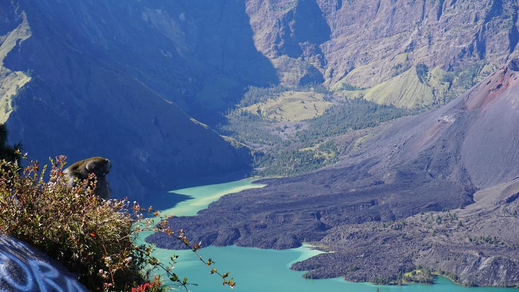 Rinjani Trails Hotel Senaru Eksteriør bilde